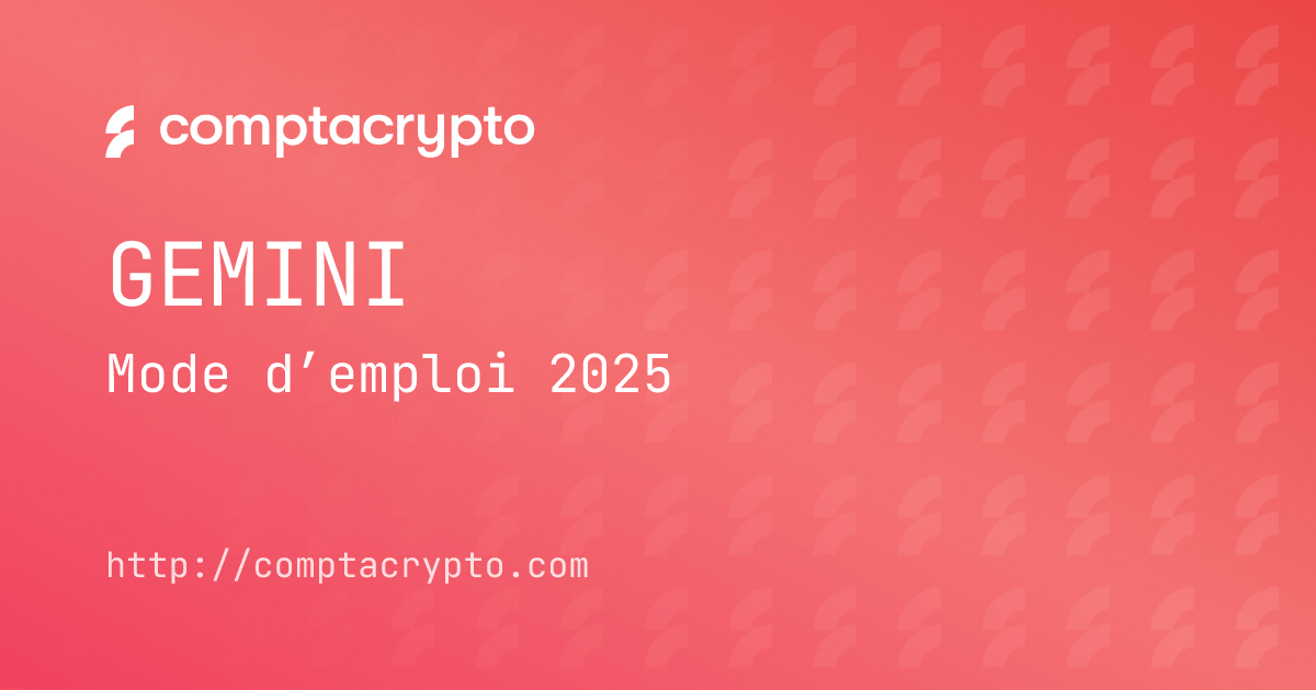 Mode d’emploi fiscal Gemini 2025