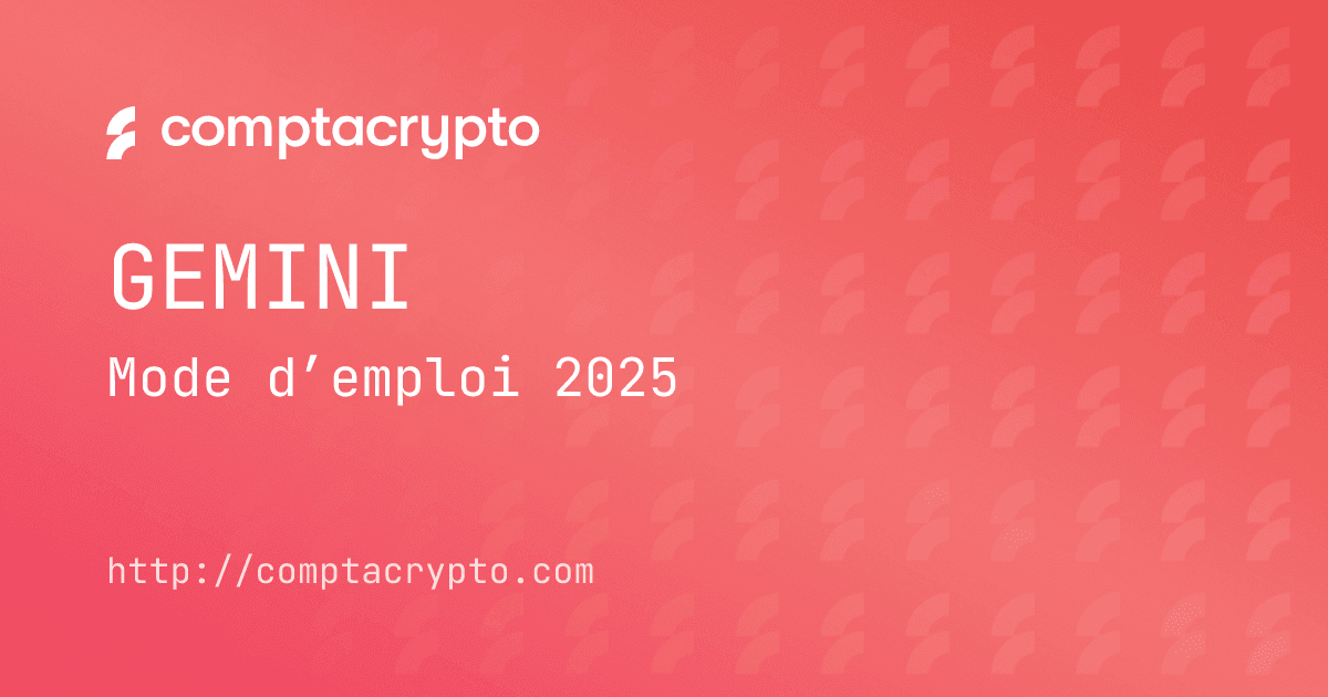 Mode d’emploi fiscal Gemini 2025